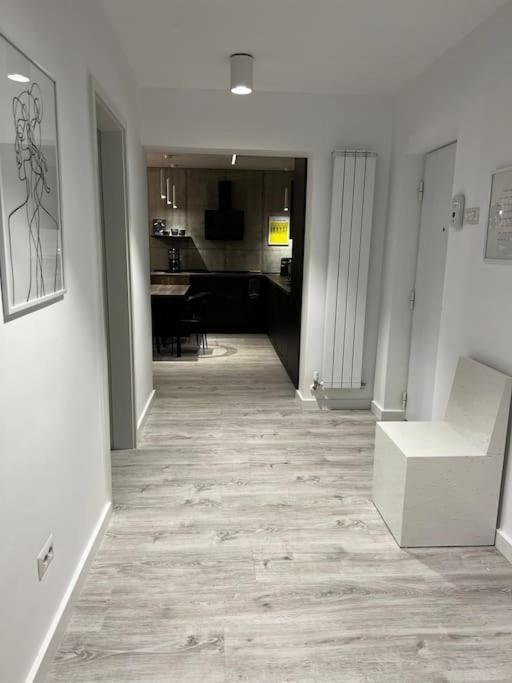 Apartment Downtown Chic 2 Iasi